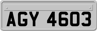 AGY4603