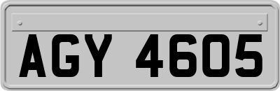 AGY4605