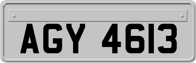 AGY4613