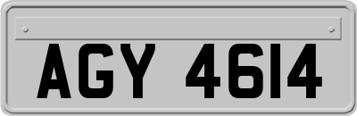 AGY4614