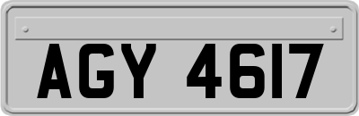 AGY4617