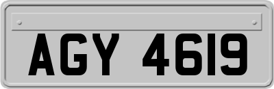 AGY4619
