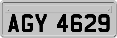 AGY4629