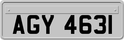 AGY4631