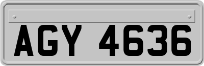 AGY4636