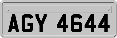 AGY4644