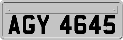 AGY4645