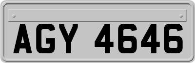 AGY4646
