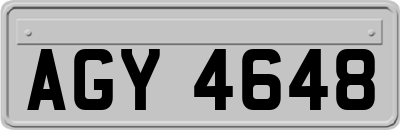 AGY4648