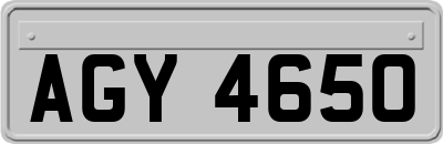 AGY4650