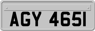 AGY4651