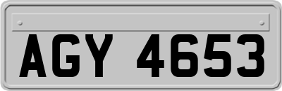 AGY4653