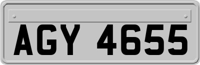 AGY4655