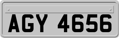 AGY4656