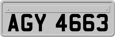 AGY4663