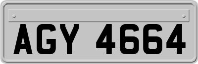 AGY4664