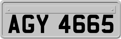 AGY4665