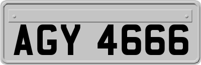 AGY4666