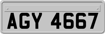 AGY4667