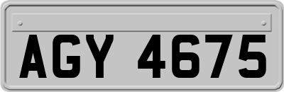 AGY4675