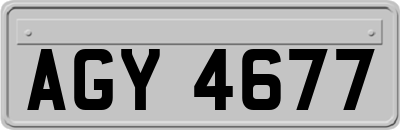 AGY4677