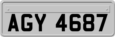 AGY4687