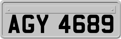 AGY4689