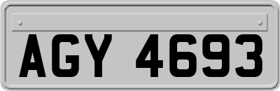 AGY4693