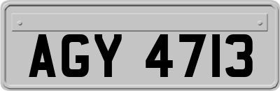 AGY4713
