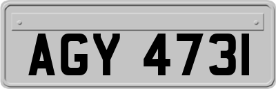 AGY4731