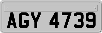 AGY4739