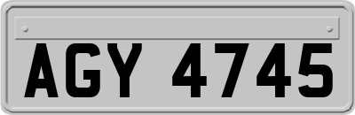 AGY4745