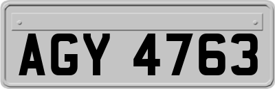AGY4763