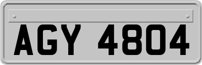 AGY4804