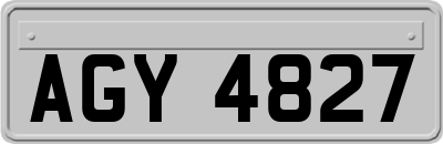 AGY4827