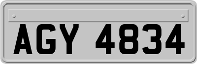 AGY4834