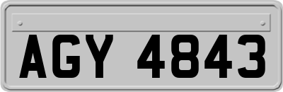 AGY4843