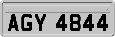 AGY4844