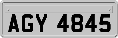 AGY4845