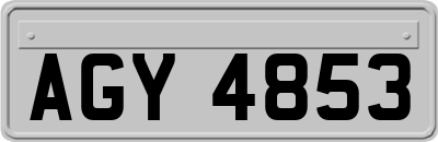 AGY4853
