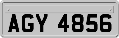 AGY4856