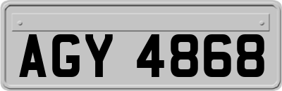 AGY4868
