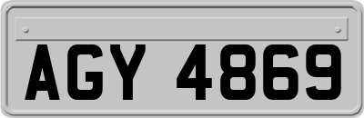 AGY4869