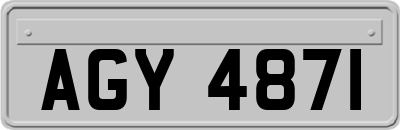 AGY4871