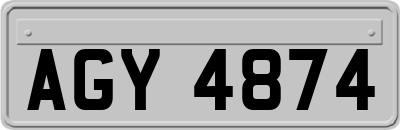 AGY4874