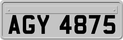 AGY4875