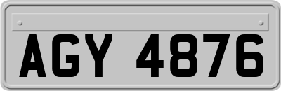 AGY4876
