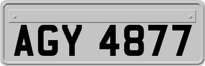 AGY4877