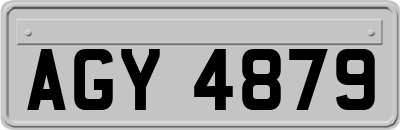 AGY4879