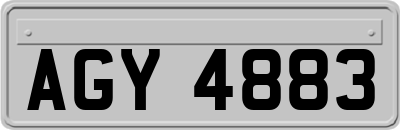 AGY4883